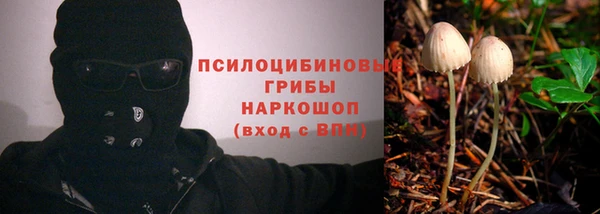 винт Тында